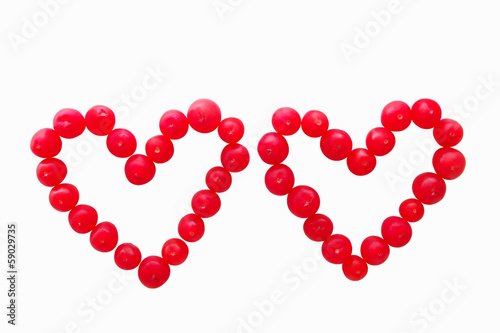 Red yew fruits forming two hearts on white background