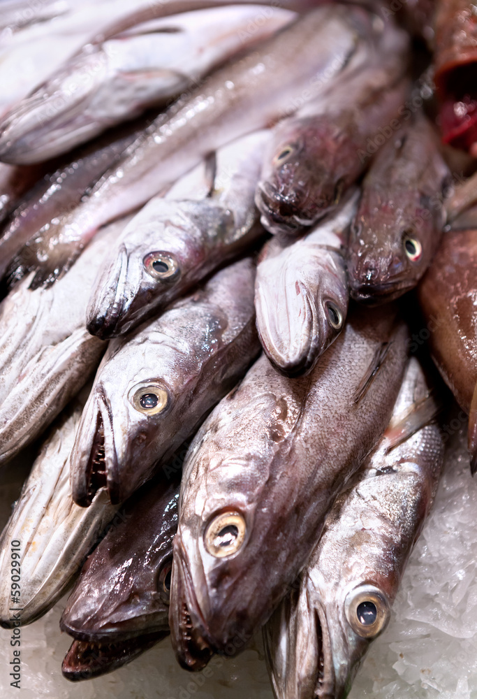 fresh fish at the market fresh fish at the market