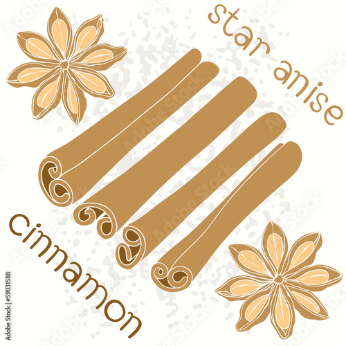 Seamless   pattern with   star anise and cinnamon sticks