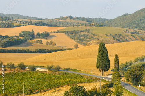 agricultural landscape in toscana