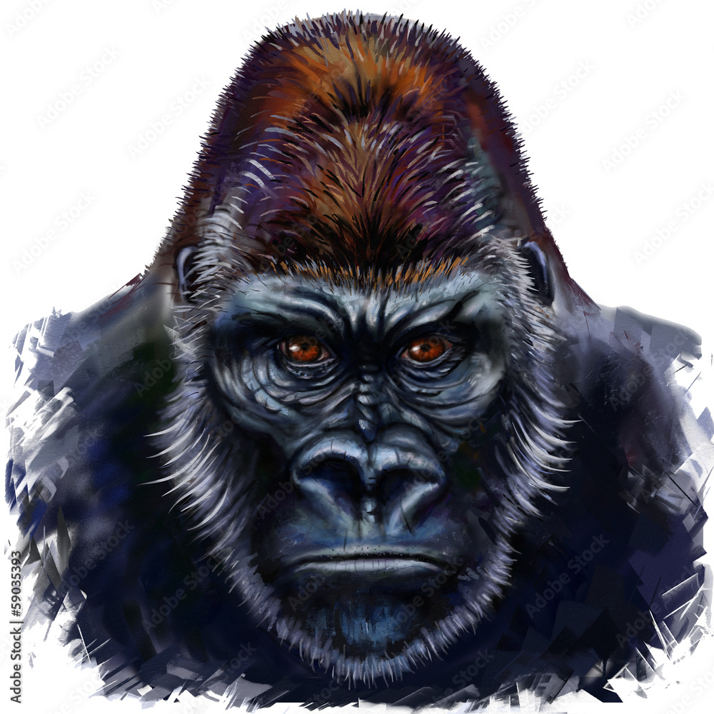 Obraz premium gorilla male