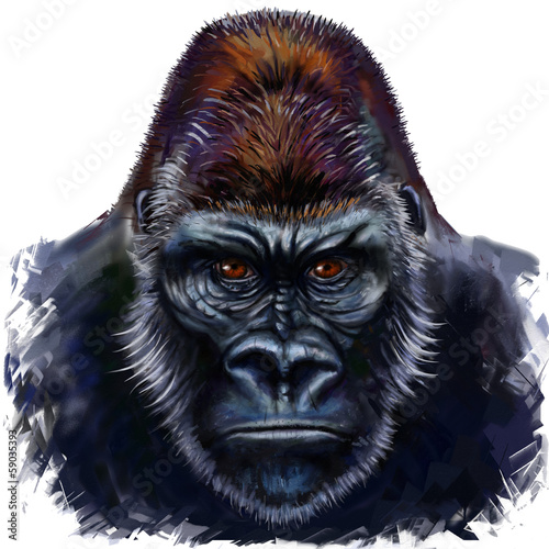 gorilla male