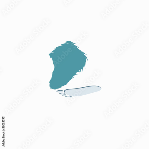 Yeti footprint