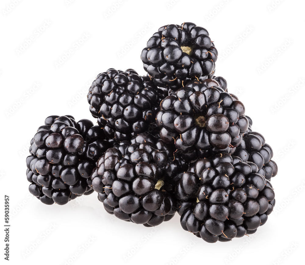 blackberries blackberries