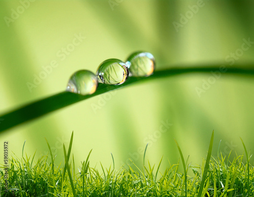 morning nature background with beautiful drop