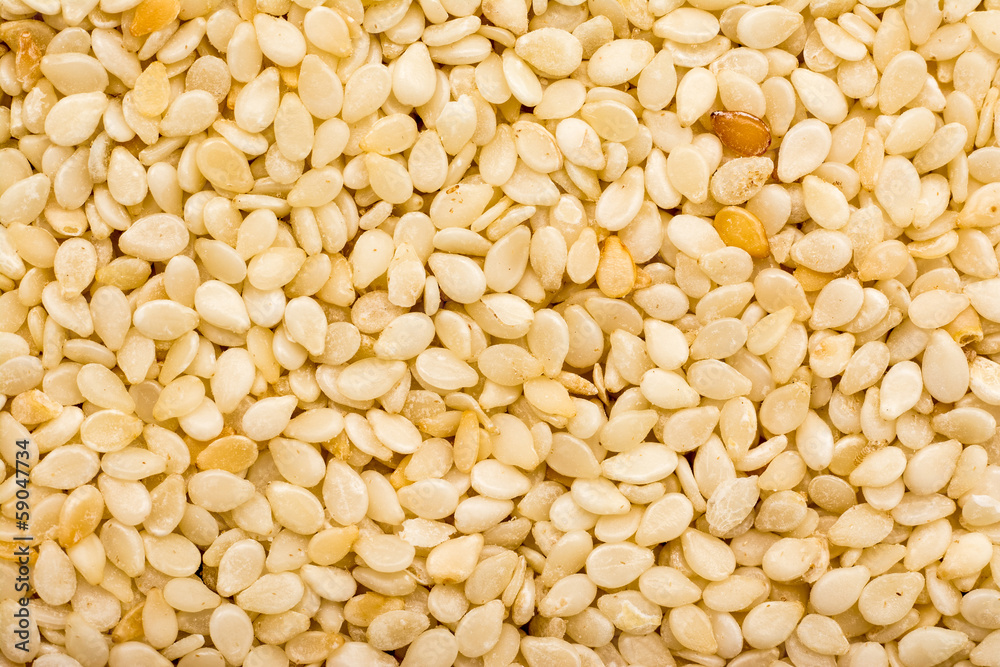 Sesame Seeds Closeup Sesame Seeds Closeup