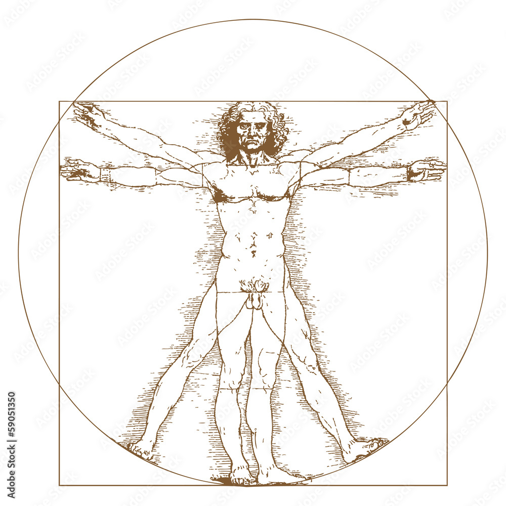 Vitruvian Man by Leonardo Da Vinci