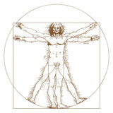 Vitruvian Man by Leonardo Da Vinci