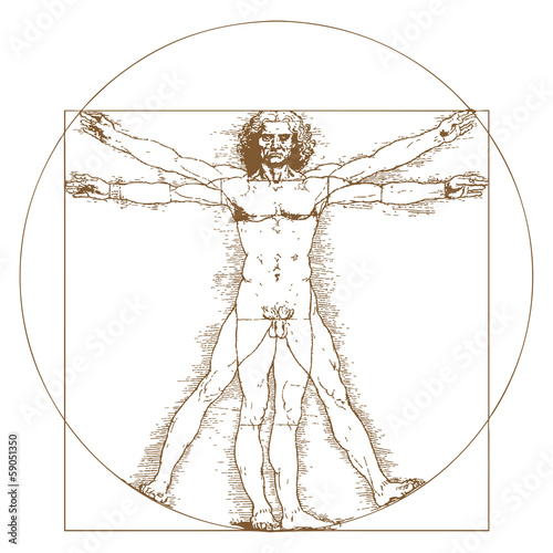 Vitruvian Man by Leonardo Da Vinci photo