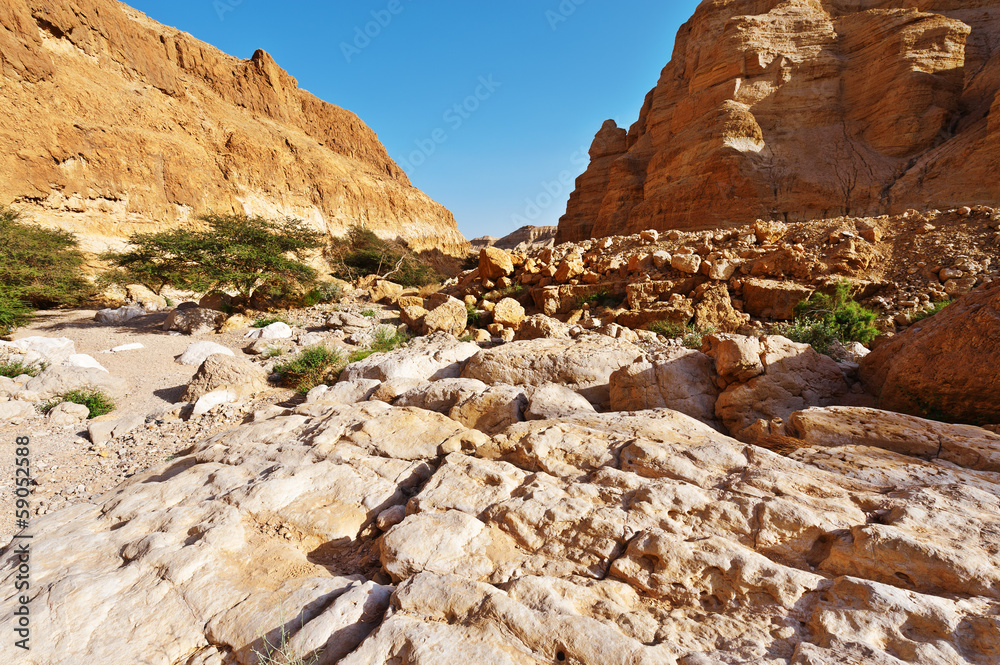 Fototapeta premium Riverbed