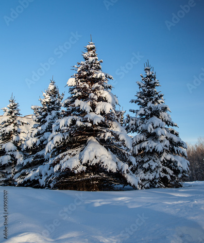 Winter landscape © zest_marina