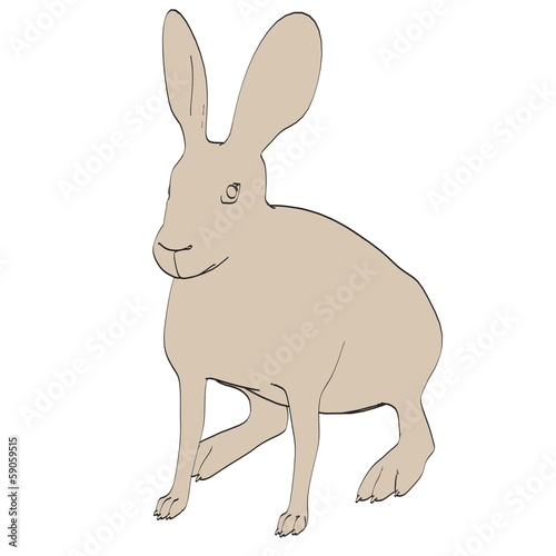 cartoon image of hare animal © bescec
