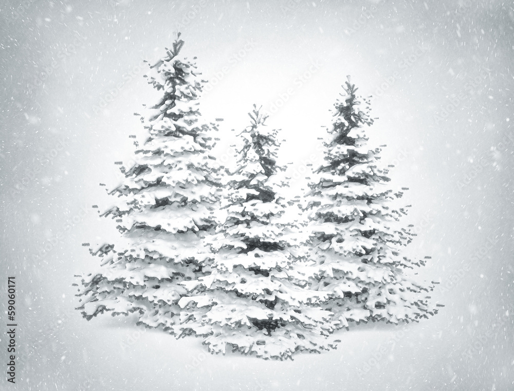 Christmas trees and snow