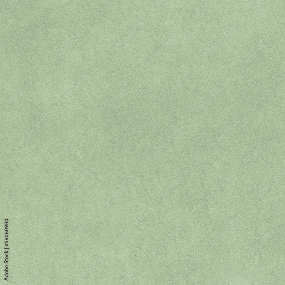 light greenish leather texture. light greenish leather texture.