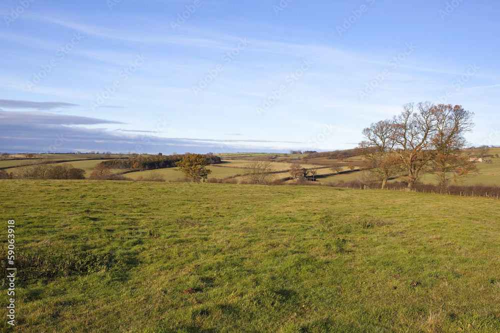 yorkshire wolds meadows