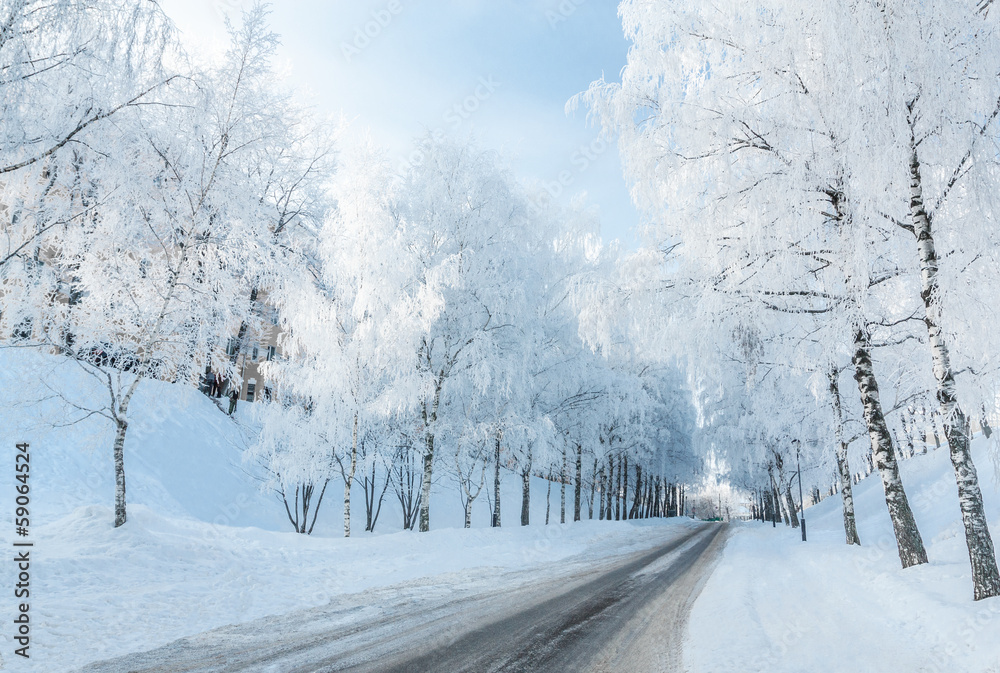 Obraz premium Winter road