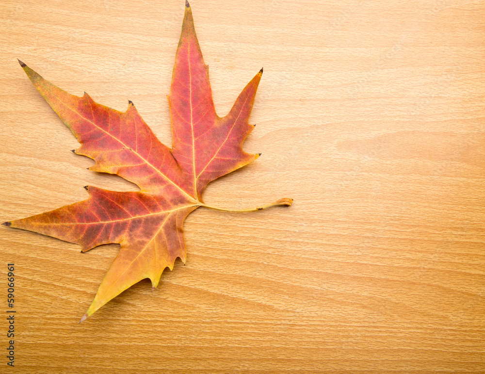 autumn leaf on a wooden background