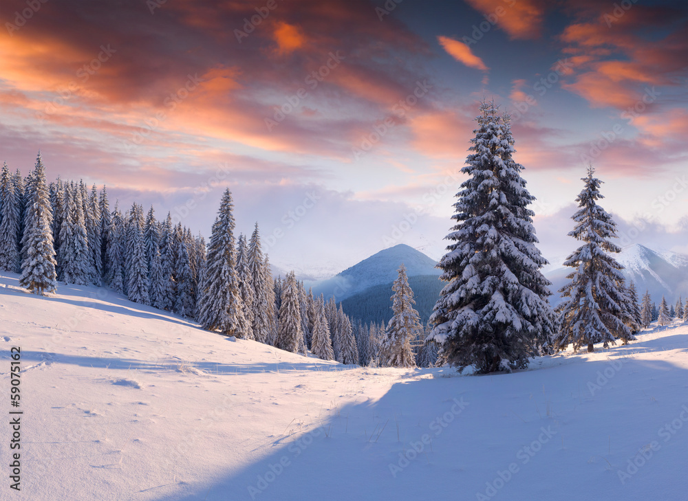 Winter morning in the mountains Winter morning in the mountains