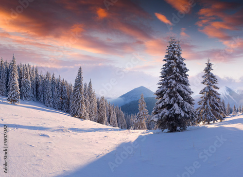 Winter morning in the mountains © Andrew Mayovskyy