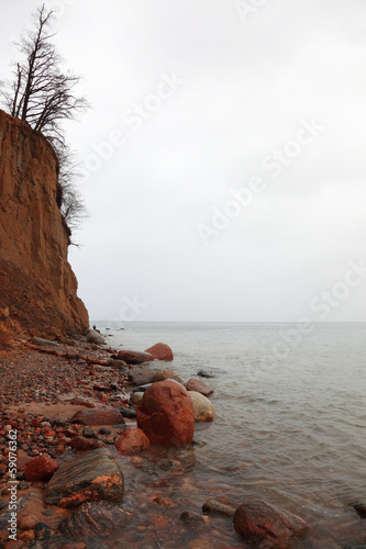 autumn cliff in Orlowo, Gdynia Poland #59076362