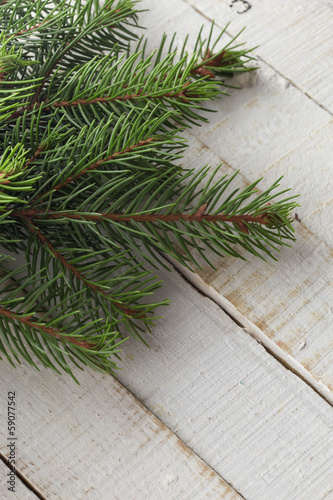Spruce on wooden background.