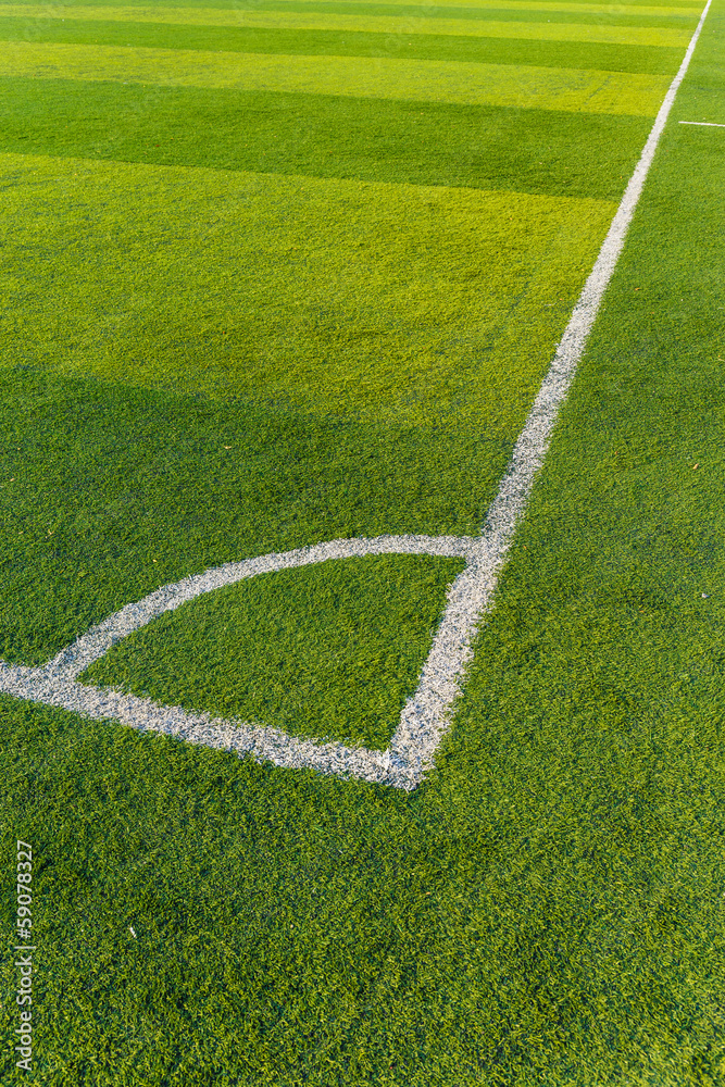 Football court grass