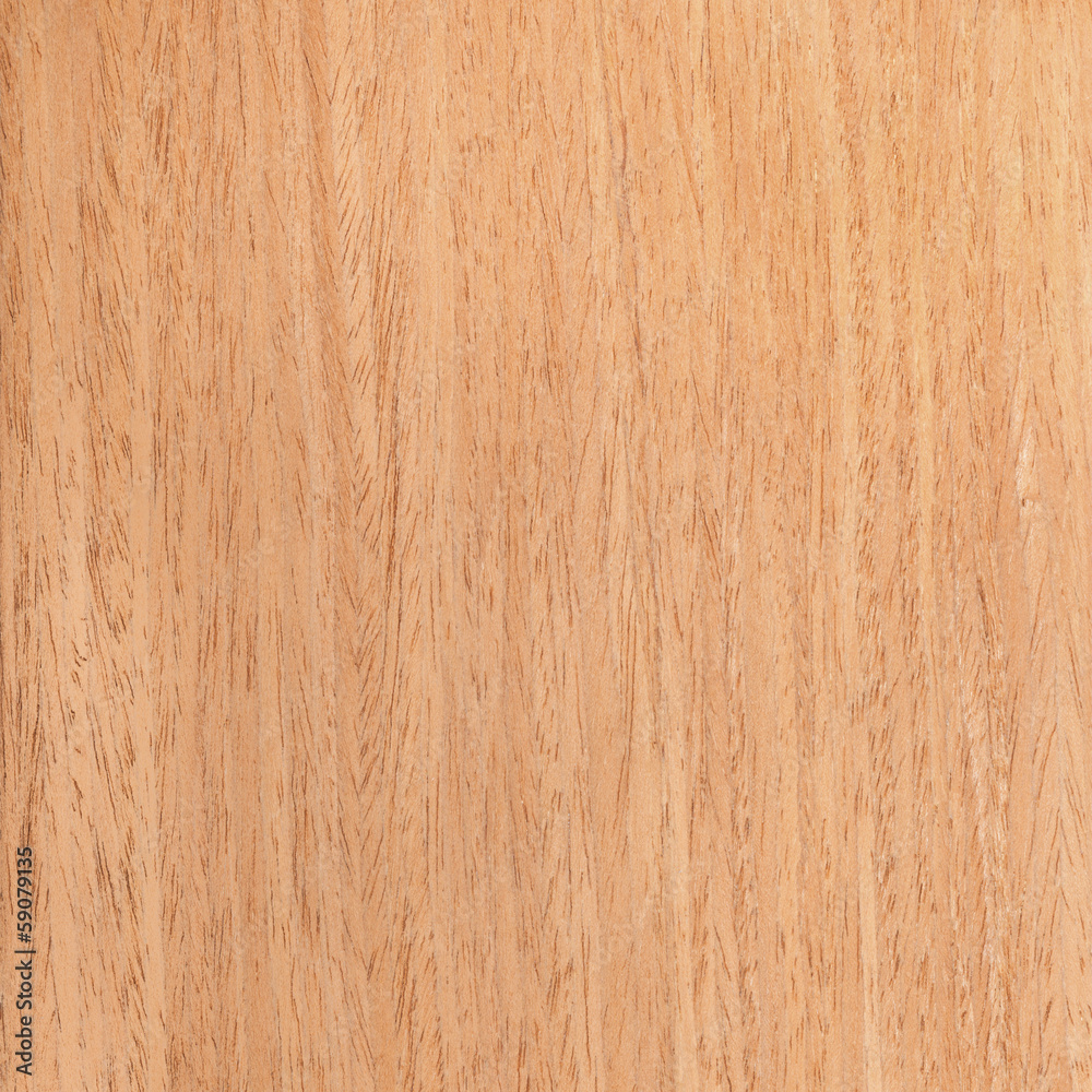 Fototapeta premium Texture of walnut, wood grain