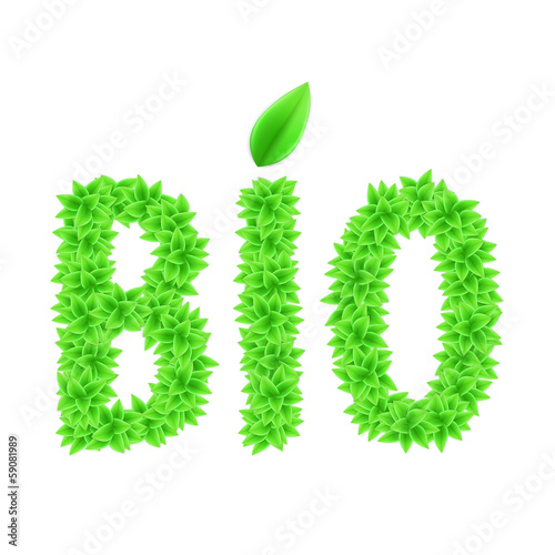 Green bio text.