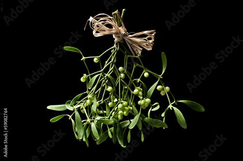 Christmas mistletoe