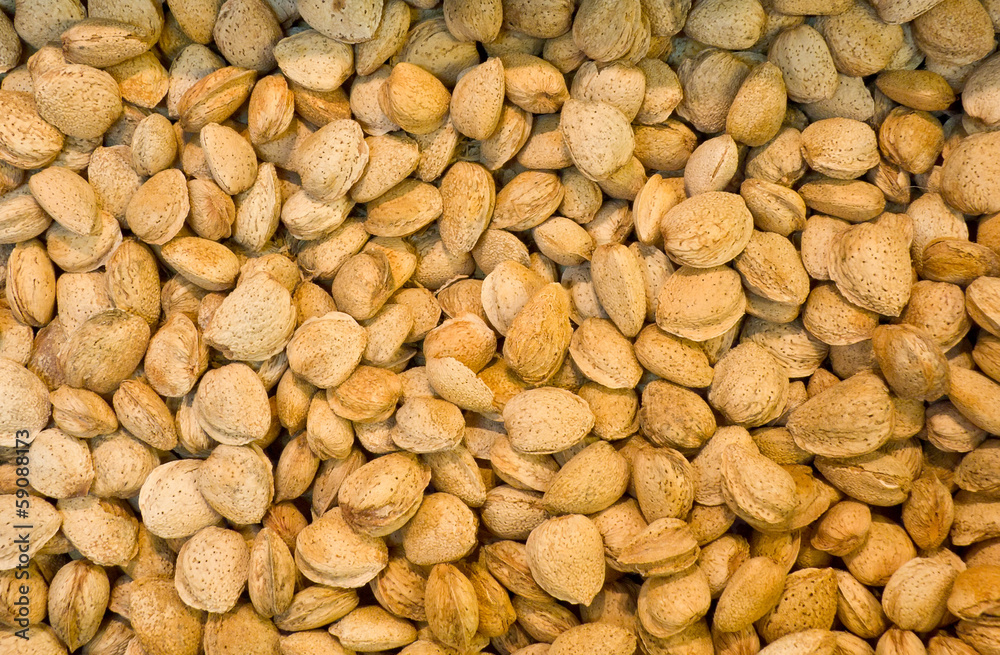 Almond background Almond background