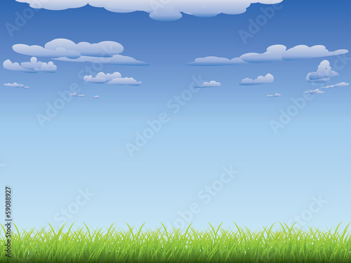 Green grass and blue sky