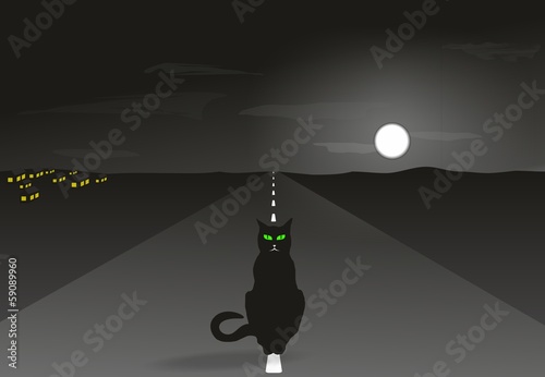 Night cat