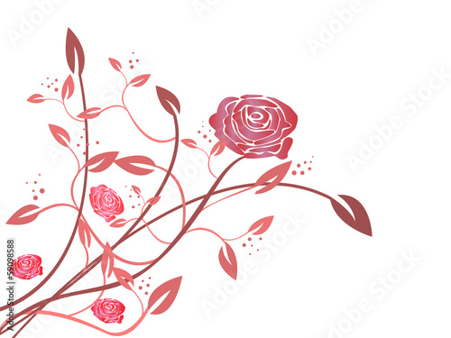 rose