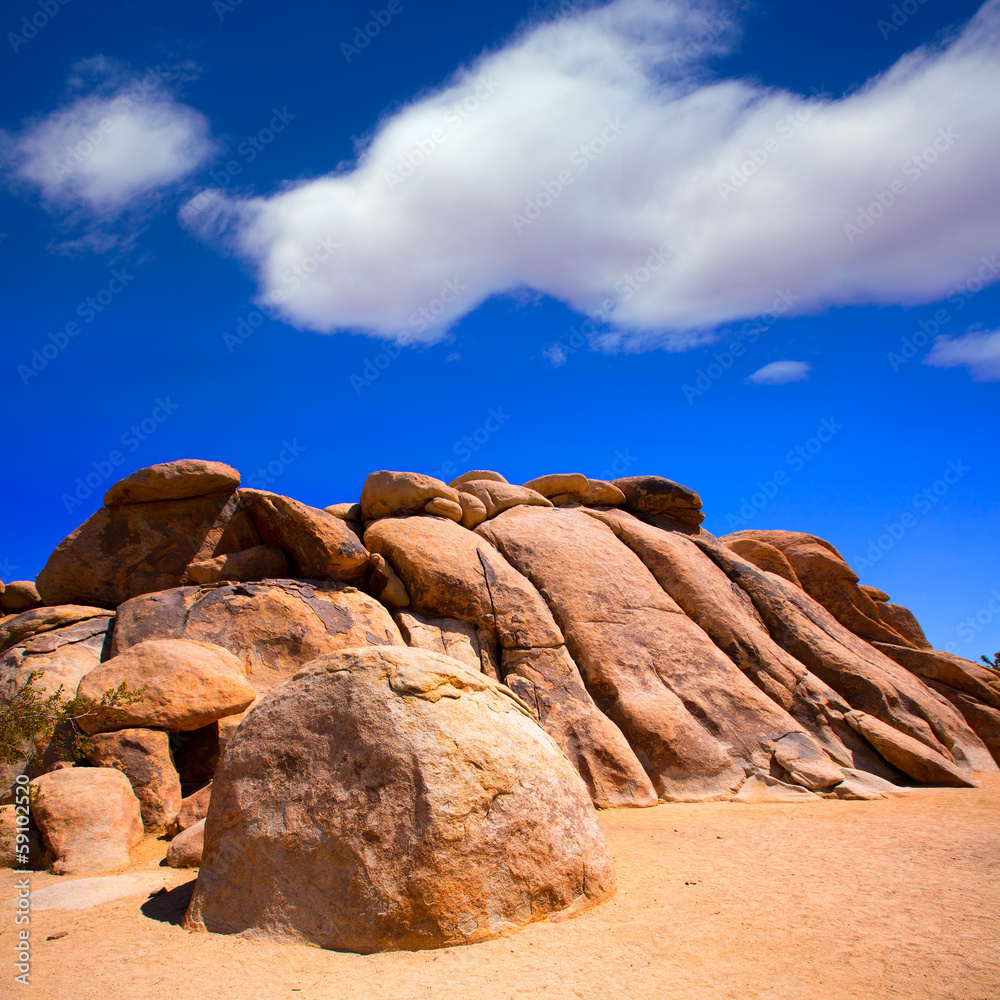  rocks in Joshua tree National Park California