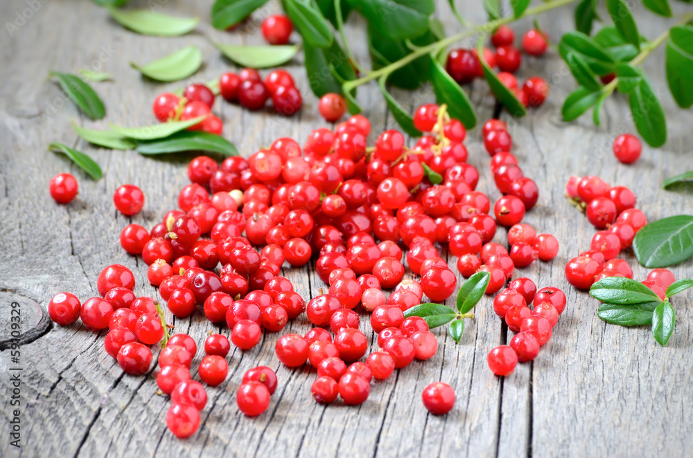 Cowberries on table Cowberries on table