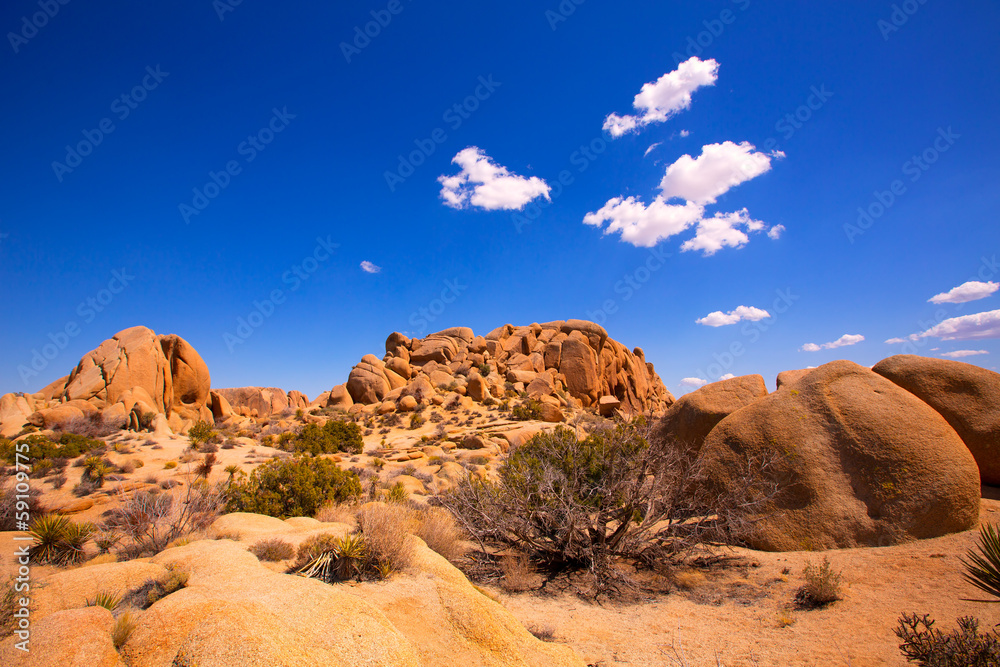 Skull rock in Joshua tree National Park Mohave California