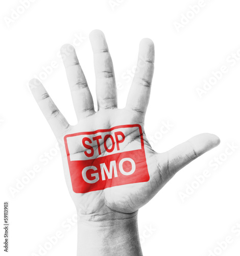 Open hand raised, Stop GMO sign painted