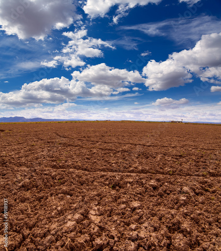 Cereal rice fields in fallow after harvest at Mediterranean