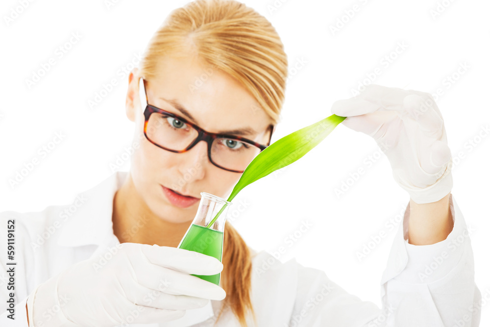 Scientist Performing Experiment On Leaf Scientist Performing Experiment On Leaf