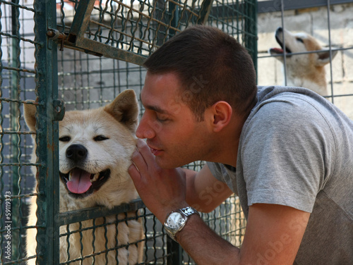 Akita Inu