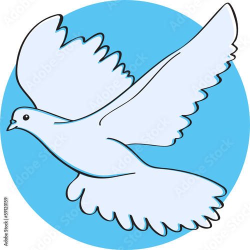 White dove
