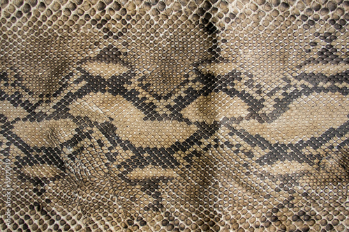 Texture of snake leather skin. © badztua