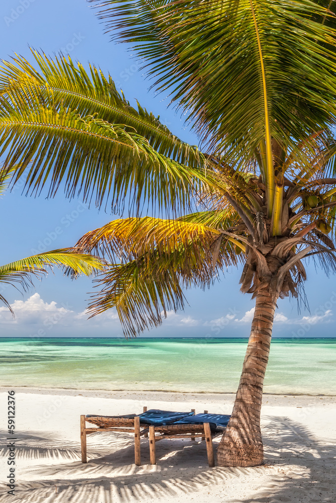 Beach Lounge Chairs under palm tree leaves at the shore of India Beach Lounge Chairs under palm tree leaves at the shore of India