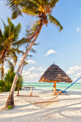 Fototapete Sansibar Hängematte zwischen Bäumen am Strand  © Anton Zelenov