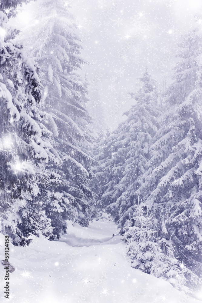 Snow covered Winter road Snow covered Winter road