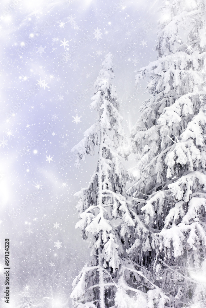 Winter landscape with snow covered pine trees Winter landscape with snow covered pine trees