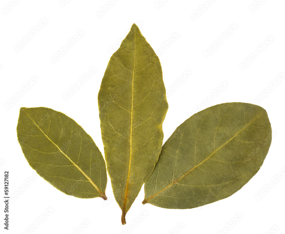 Aromatic bay leaves Aromatic bay leaves