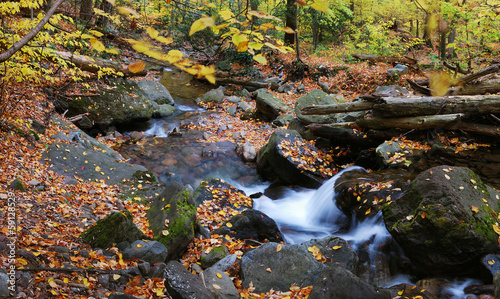 Fototapeta Naklejka Na Ścianę i Meble -  Autumn creek