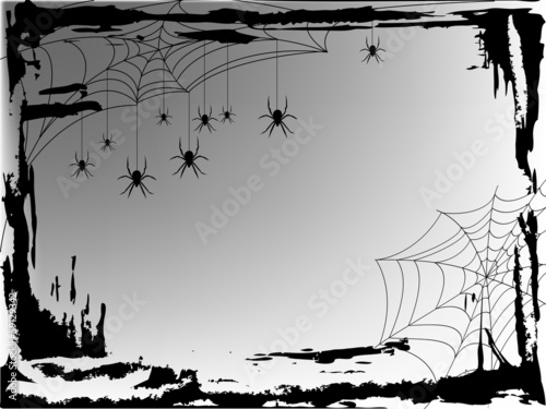 Spider web