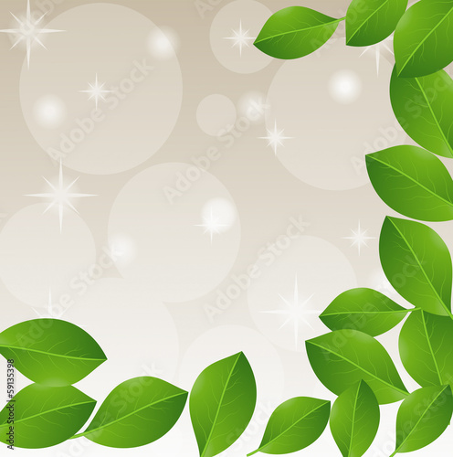 background with green leaves for a design